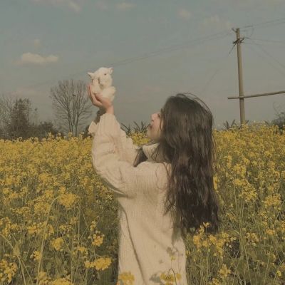 正规赌足球的软件