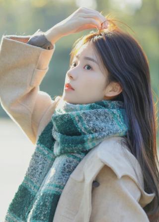 金开新能源股份有限公司关于子公司2025年11月提供担保的公告